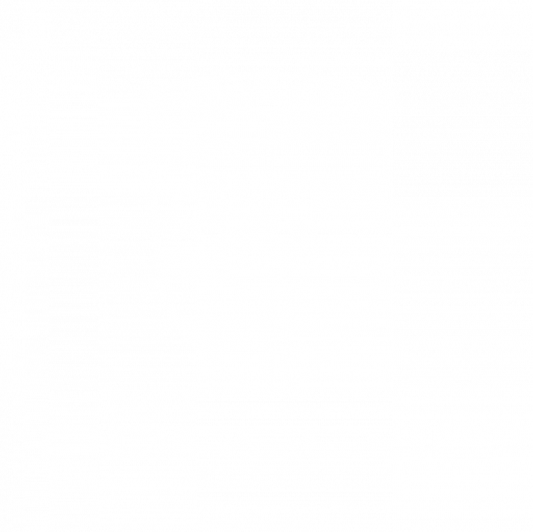 porsche_klein
